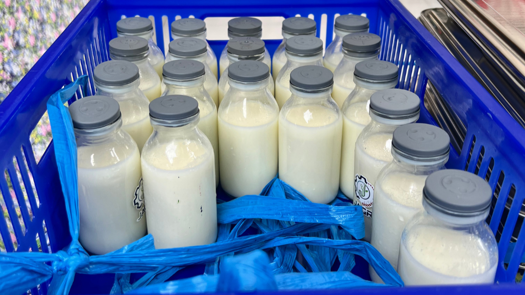 Penjelasan BGN Sibolga Soal Manfaat Susu Sebagai Pelengkap Gizi Anak